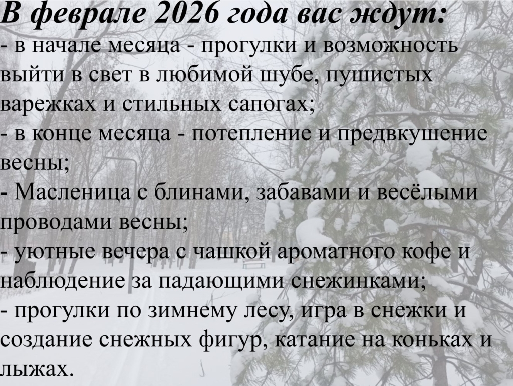 ������� 2026-1.jpg