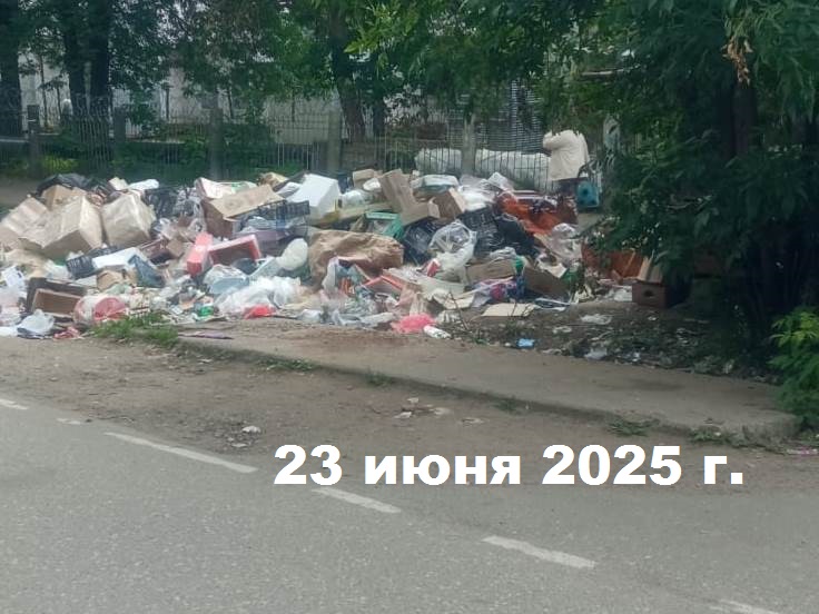 11.jpg 11.jpg