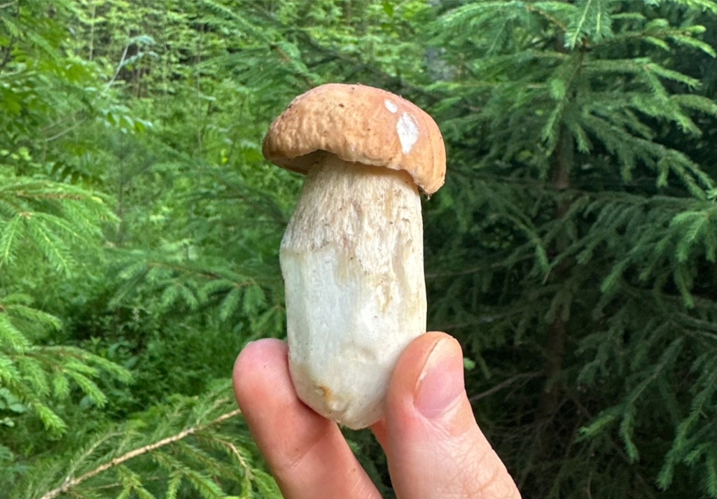 �����-2.jpg