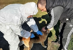 ����� ����� � ����� � ���������� ������� ������� �� ���������