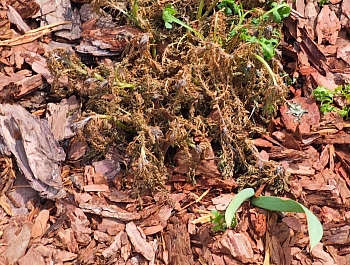 ���������� �������� �� ������ � ������ ������� 