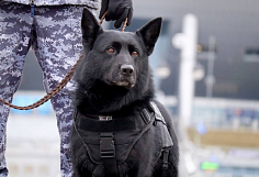 ������� �� ���������� ������� ������� ���� ����� � ������� ������