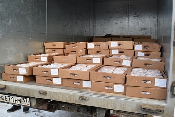 В ивановский приют для бездомных животных привезли несколько тонн мясопродукции
