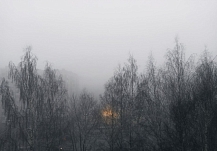 ������� ������� ��������� ������ ���� �� ���������� ������