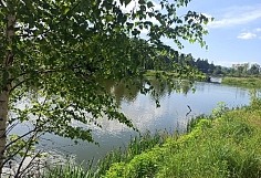 ������ ������������ � ������������� ��������� ����� � ���������� ������� ����� ���