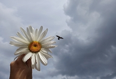 ���� ������������ � ���������� �������