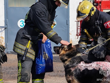 � ����� � ���������� �������� ������ �������� ��� �� ���