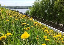 � ������ ������ ��������� 6,2 ����� ����� �� �������