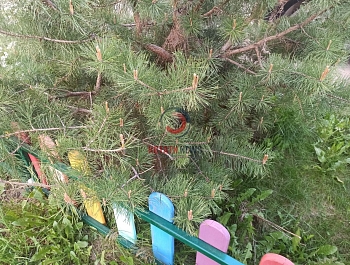 ����� ������� ������� ������� ����� � ����������� �����������