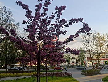 ����� ������� ������� ������� ����� � ����������� �����������