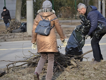 ������� ���� �������������� ���������� � �������