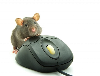 ��������� ��������, ��� ��������� ����� ���, ����� �� ��� �������