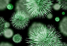 ������� �������������� ������������� ������������ � ���������� �������