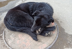 �� ���������� ���������� ������� ������ ����������� ������