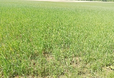 ��� ���� ������� � ��������� ��� ����������� ����� ��������� � ���������� �������