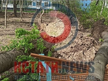 ������ �������� ����� � ����������� � �������