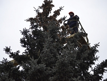 ������ ������� ������� ���������� ������ � ������ ����