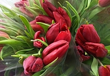 ���� ������� � ���������� ������� ��������� �������� �����������