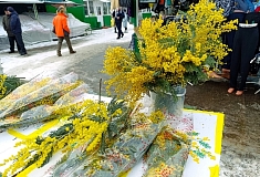 ����� ���������� ���������� ������ ������ � ������