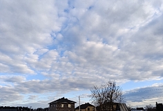 ���� � ������� �������� 7 ������