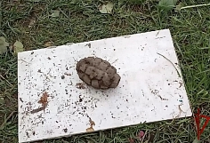 � ������� ������ �������������� ������� ��������� �������� �������