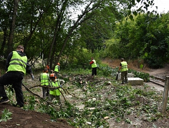 � ������� ����������� ���������� � �������� ���������