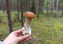 �� 9 ��� ������� ��� ������� ���������� ������� �� ���� ������������� ������