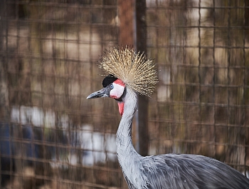 ����� ������ ������� � ���������� �������� ������ ��������� ����