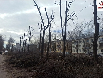 ����� ������� �������� ����� ���������� ����������� �7