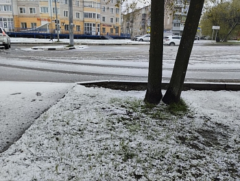 �������� ������ ���������� �������