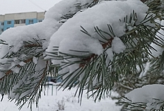 В Ивановской области 30 и 31 января будут дожди и тепло