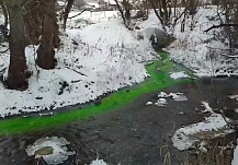 Назвали причину окраса реки Вичужанка в Ивановской области в ядовитый зелёный цвет