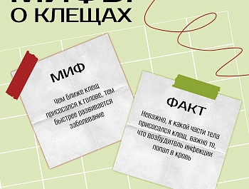 �������� ��������� ���������� ����� �� ������� ���������� �������