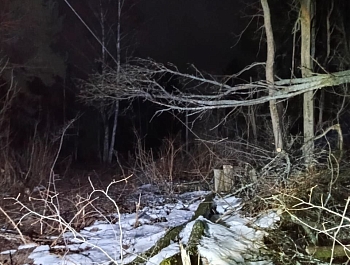 ��������� ����� ���������� ������ ��� ���������� ����������� ���������� �����