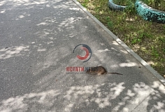 � ������ ������� �� ������ ������ �����