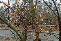 ������ ��������� � �������� ���������� ������� ��������� ������