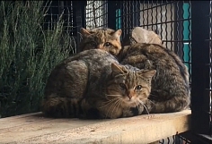 ����������� � ������� ����������� ������ ���� ����������� � ����� ����