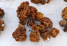 � ����� ���������� ������� ��������� ������ �����