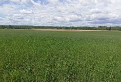 ����� ������� ������� ���������� ������������ ��������������� ����� 210 �������� ��� ����������� �����