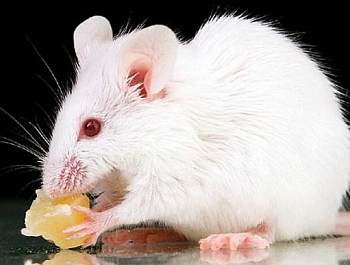 ��������� ��������, ��� ��������� ����� ���, ����� �� ��� �������