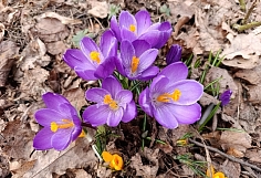 ��������� ������ ����������� �� ������� ��������� � ���������� ������� 