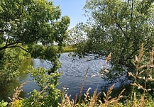 На берегу озера Запрудка в Ивановской области требуют снести забор