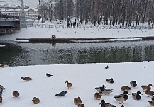 На Ивановскую область обрушились 20-градусные морозы