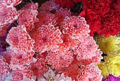 � ������������� ������� ���� 24 ��������������� �� ���������� ������� ������� ��� ��������