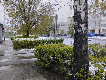 �������� ������ ���������� �������