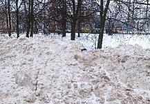 ��������� ������ � ������� ���� ���������� � �������