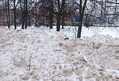 ��������� ������ � ������� ���� ���������� � �������