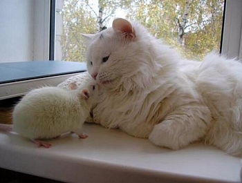 ��������� ��������, ��� ��������� ����� ���, ����� �� ��� �������