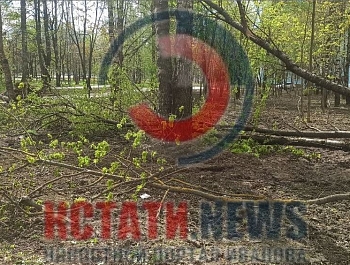 ������ �������� ����� � ����������� � �������