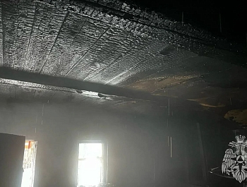  ���� ������� � ������� ������� � �������� ���������� ���������